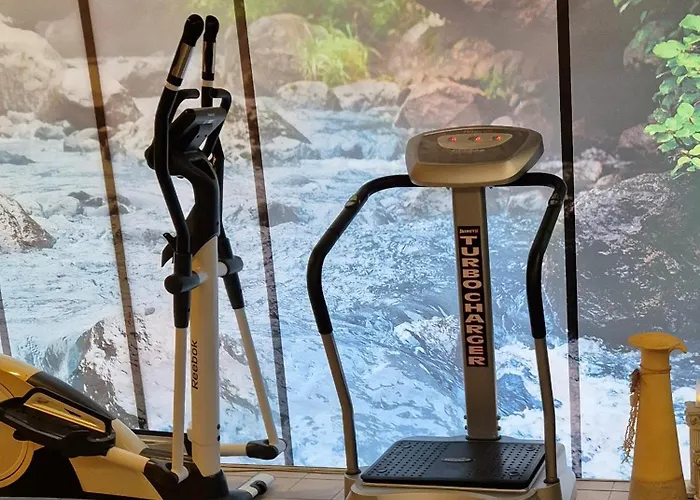 酒店 Dala & 洛伊克巴德